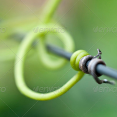 手机版ddos攻击器