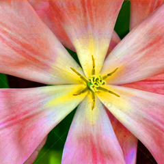 快速解压缩的ddos攻击工具