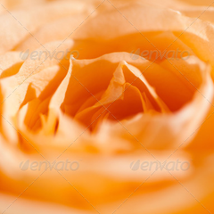 ddos攻击防御手段