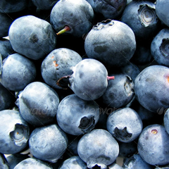 ddos压力测试平台